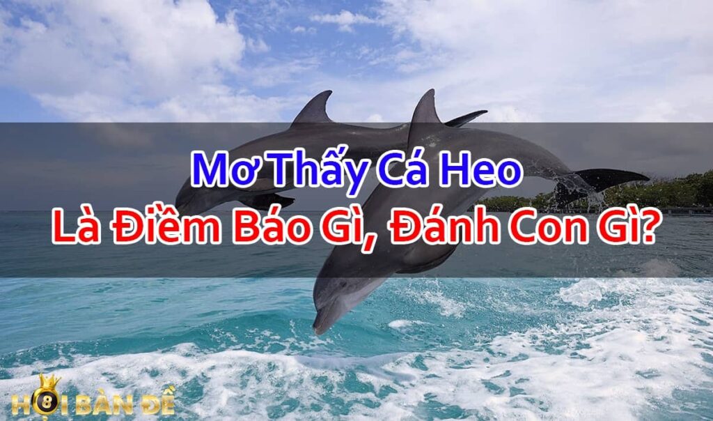 Nam-Mo-Thay-Ca-Heo-Danh-So-May-Trung-Lon