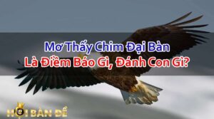 Nam-Mo-Thay-Chim-Dai-Bang-Danh-Con-Gi-Chac-Trung