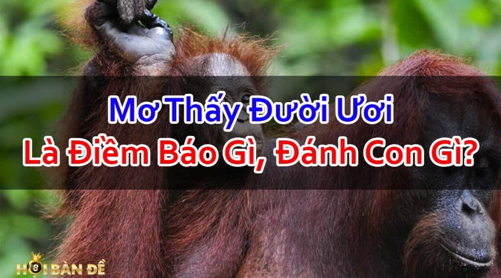 Nam-Mo-Thay-Con-Duoi-Uoi-Danh-So-May-Co-Phai-Hung-Tin