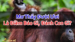 Nam-Mo-Thay-Con-Duoi-Uoi-Danh-So-May-Co-Phai-Hung-Tin