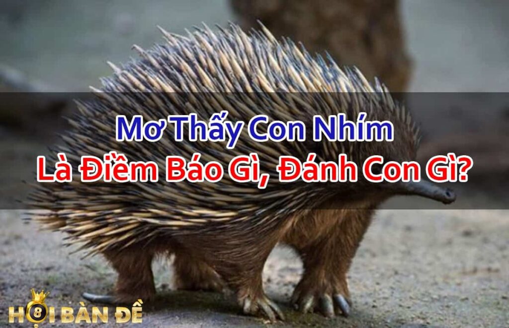 Nam-Mo-Thay-Con-Nhim-Danh-So-Gi-Trung-Lon