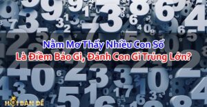 Nam-Mo-Thay-Nhieu-Con-So-Danh-De-Con-Gi-Trung-Lon