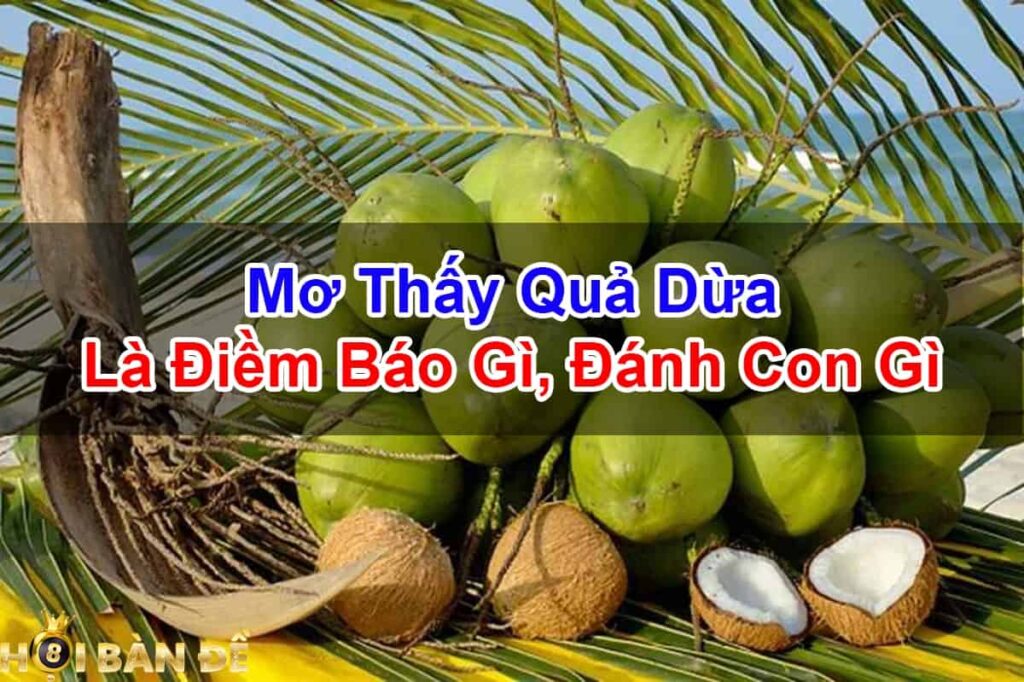 Nam-Mo-Thay-Qua-Dua-Danh-Con-Gi-Mo-Thay-Chat-Cay-Dua