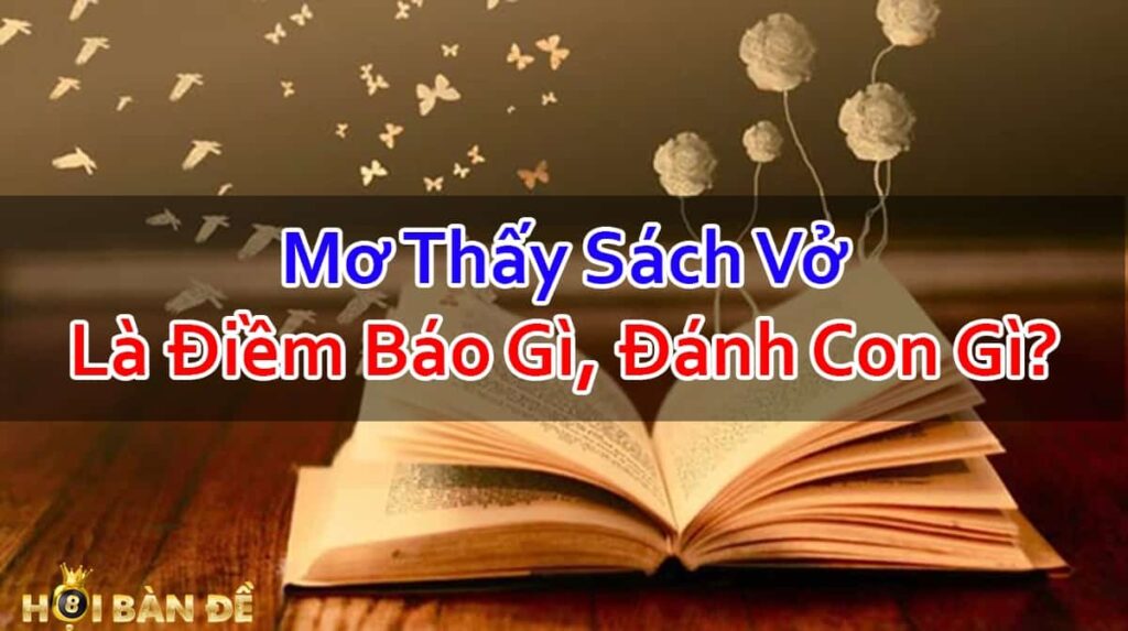 Nam-Mo-Thay-Sach-Vo-Danh-Con-Gi-Chac-Trung