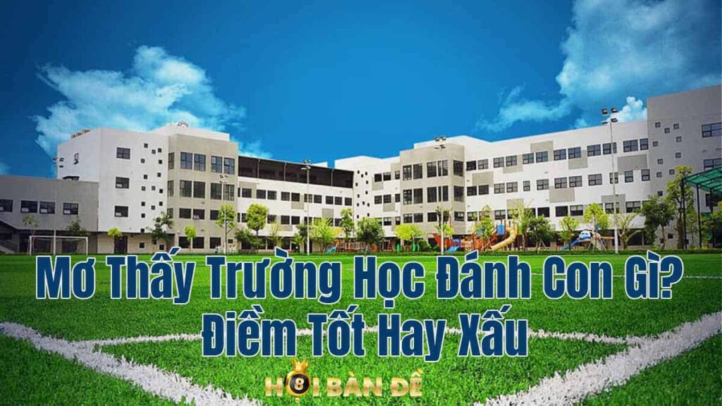 Mơ Thấy Trường Học Đánh Con Gì? Điềm Tốt Hay Xấu