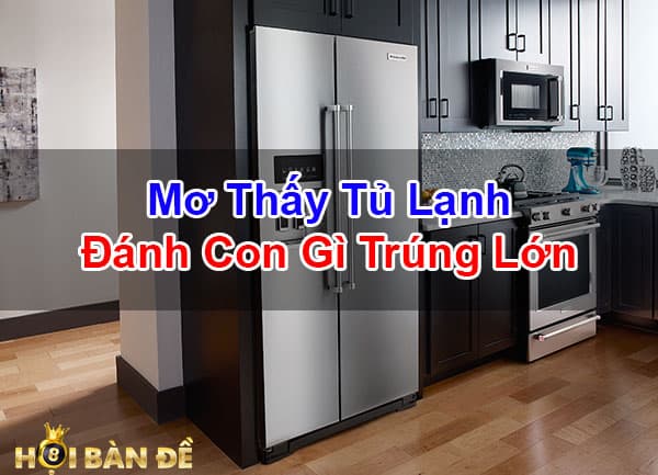 Mo-Thay-Tu-Lanh-Tu-Da-Tu-Dong-Danh-So-May-Trung-Lon