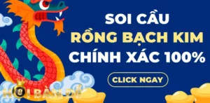 Mách bạn phương pháp soi cầu rồng bạch kim chính xác 100 đơn giản mà hiệu quả